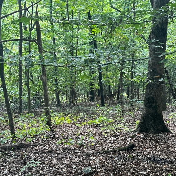 Meet your Posher, Nina Leigh - Picture 1 of 1